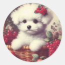 Recherche de bichons autocollants Mignon