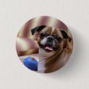 Search for toy dog buttons Cute