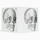 Search for anatomy binders Skull