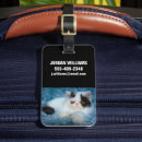Search for cutest accessories Cat