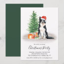 Search for border collie puppy invitations Animal