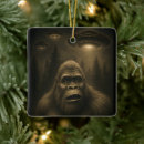 Search for alien ornaments Abduction