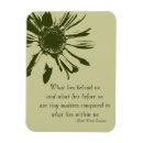 Recherche de gerberas magnets Floral