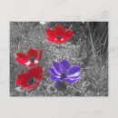Search for spring background postcards White