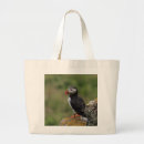 Recherche de atlantique accessoires Pingouin
