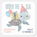 Search for kid turtle Cute
