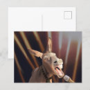 Recherche de âne drôle cartes postales Mule