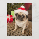 Search for high angle view cards Cute