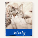 Search for kitten pics Collage