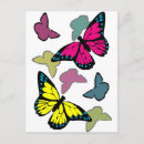 Recherche de papillon cartes postales Moderne