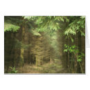 Recherche de ardennes cartes postales Nature