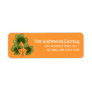 Recherche de st patrick day return address labels Irlande