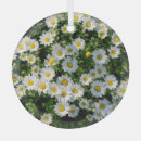 Search for flower ornaments Summer