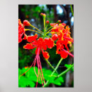 Recherche de étendu posters Arbre