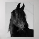 Search for black and white horse art Equine