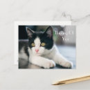 Search for quote saying postcards Cat