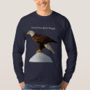 Search for american eagle Bird