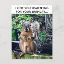 Search for funny squirrel pictures cards Joke