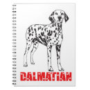 Search for adopt notebooks Rescue