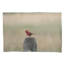 Search for cardinals pillowcases Red