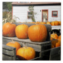 Search for pumpkin tiles Fall