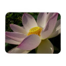Recherche de fleur lotus magnets Nénuphar