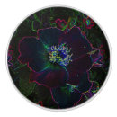 Recherche de rose noir boutons et poignées de porte Gothique