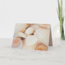 Search for beach shells photo cards Summer