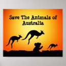 Search for australia posters Koala