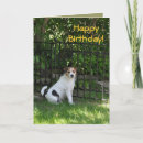 Search for jack russell birthday cards Puppies