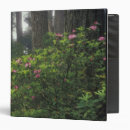 Search for preservation binders Usa