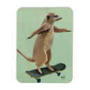 Recherche de planche magnets Fleurs