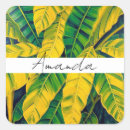 Search for green banana stickers Tropical