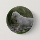 Search for stretch buttons Dog