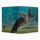 Search for sea turtle office supplies Underwater