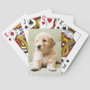 Recherche de bébé jeux de cartes Animaux domestiques