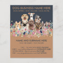 Search for dog sitting flyers Veterinary