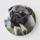 Recherche de chien de carlin art Moderne
