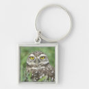 Search for burrow keychains Fauna