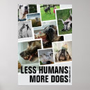 Recherche de éleveur posters Drôle