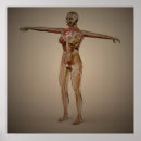 Search for human reproduction posters Complexity