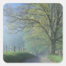 Search for smokey stickers Tree