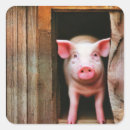 Search for piggies stickers Animals