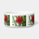 Search for red carnation Pretty