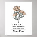 Recherche de oeillets posters Jardin