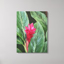 Search for ginger canvas prints Hawaii