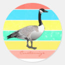 Search for canada goose stickers Geese