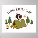 Search for border collie posters Dog