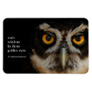 Recherche de chouettes magnets Oiseau de proie