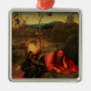 Search for wilderness ornaments Desert